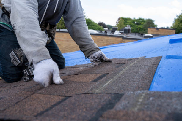 Best Roof Leak Repair  in Industry, PA